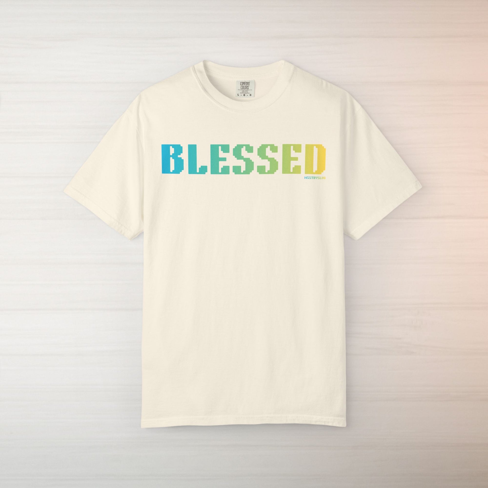 BLESSED Graphic T Shirt Aesthetic Streetwear Tee, Unisex Minimal Typography Shirt, Grateful Pastel Fashion Top