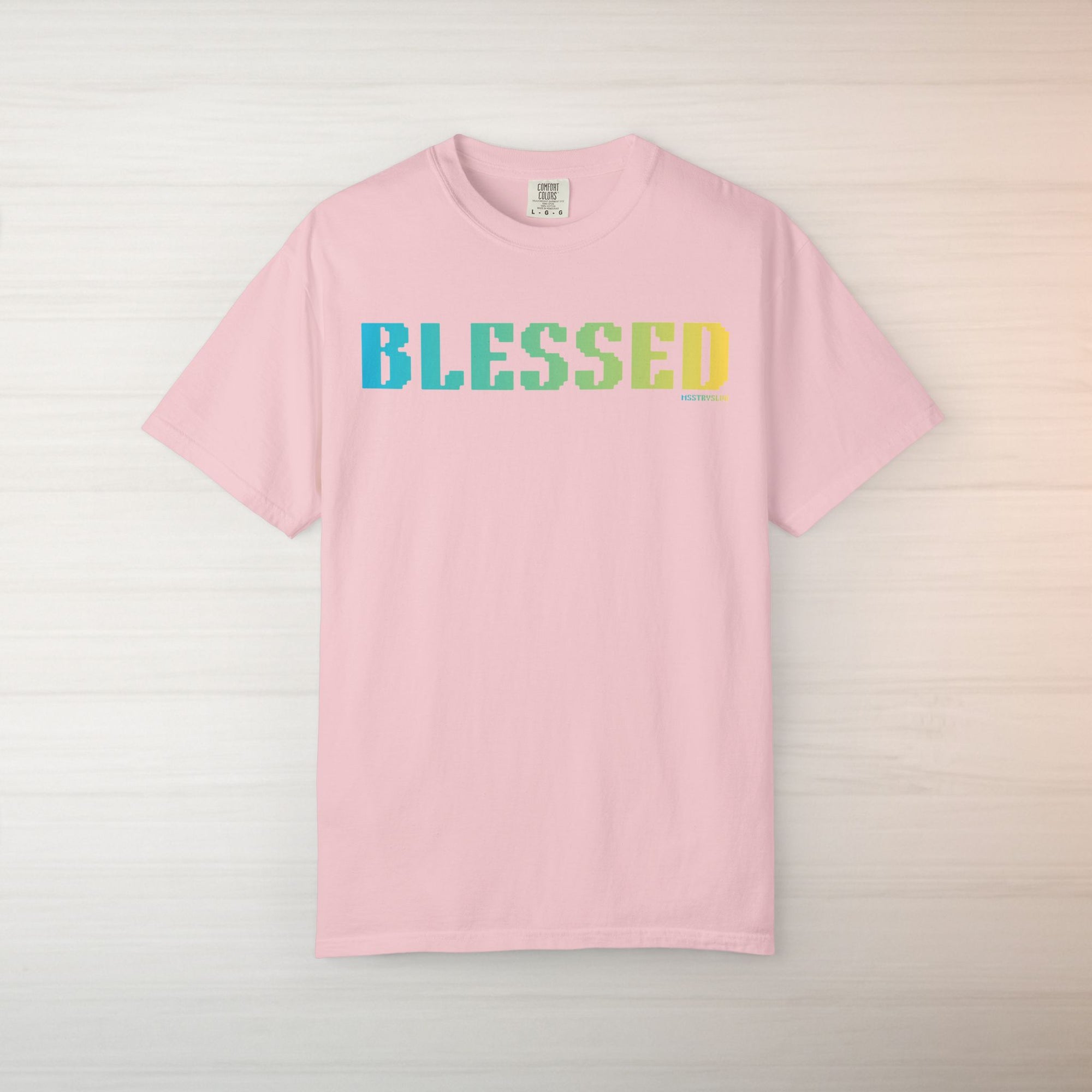BLESSED Graphic T Shirt Aesthetic Streetwear Tee, Unisex Minimal Typography Shirt, Grateful Pastel Fashion Top