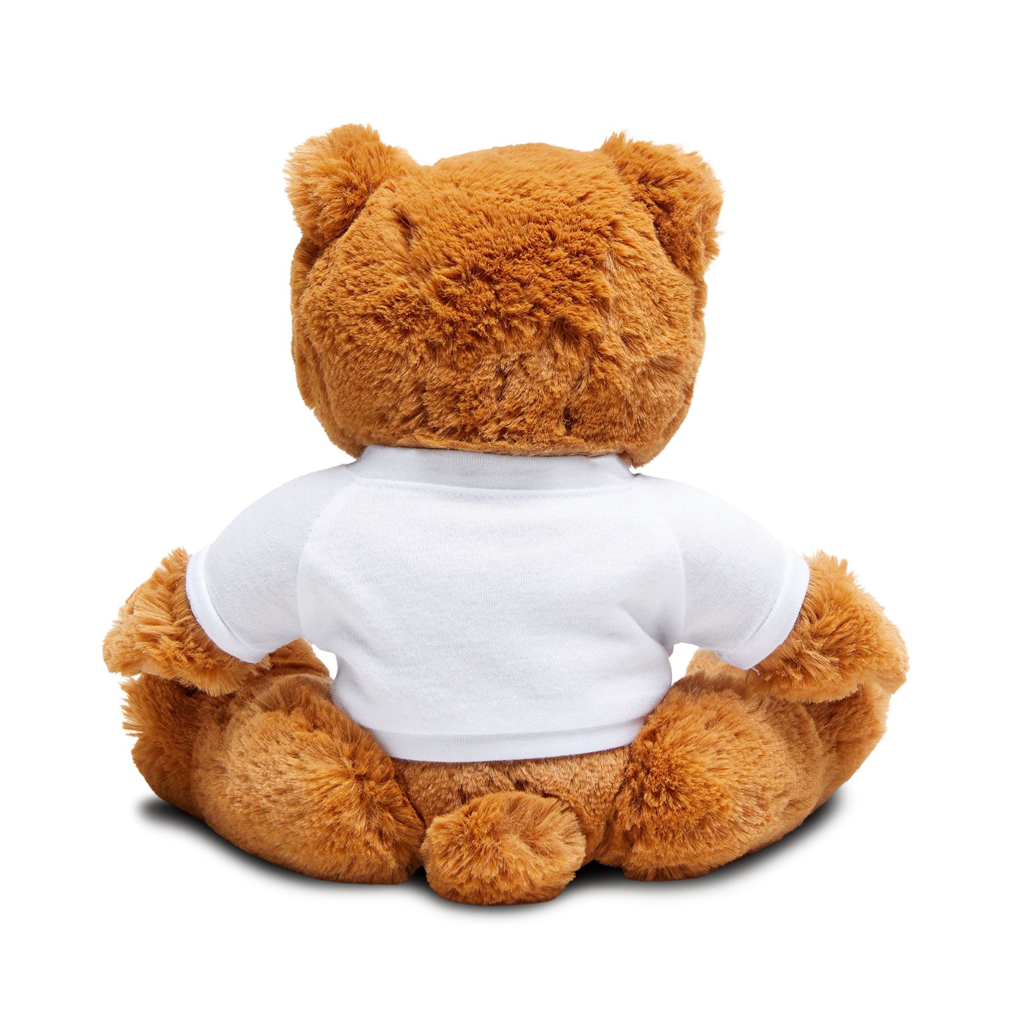 🧸 “BUGSY BEETLEBEAR” Teddy Bear with T-Shirt