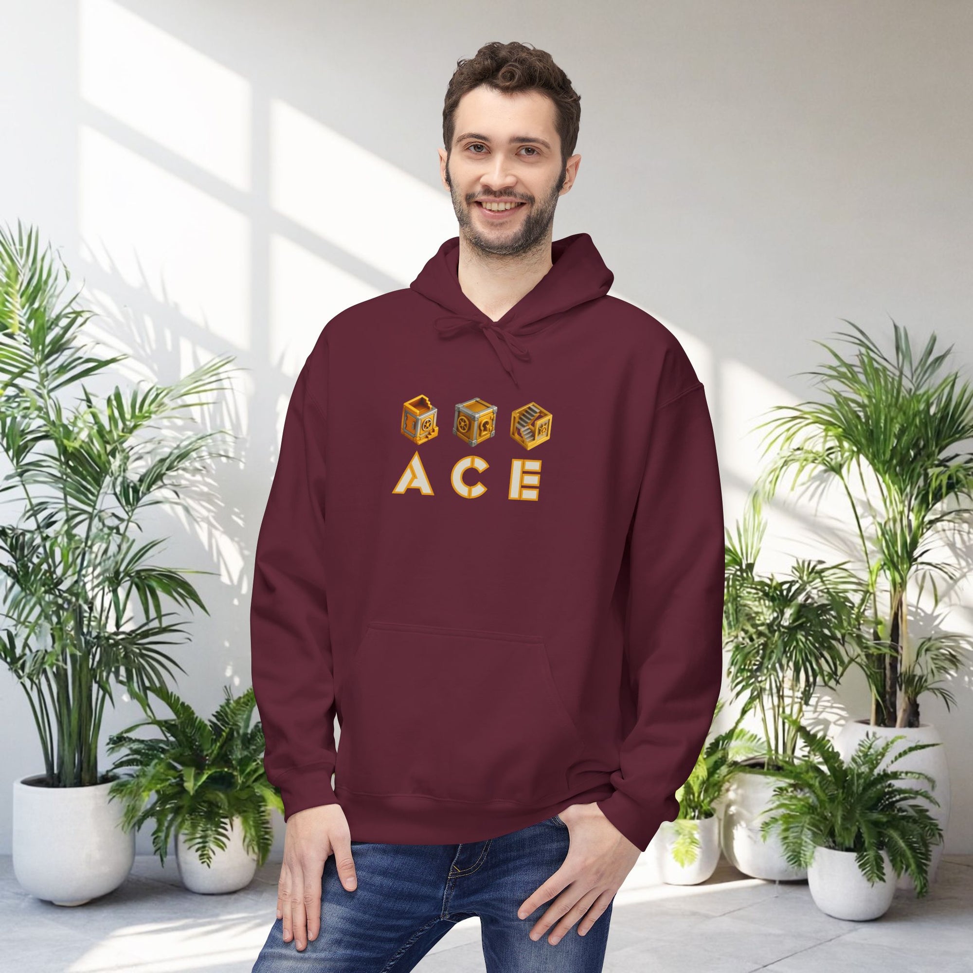 ACE Vault Hoodie – Gaming Puzzle Vault Icon Design, Retro Gamer Graphic Hoodie