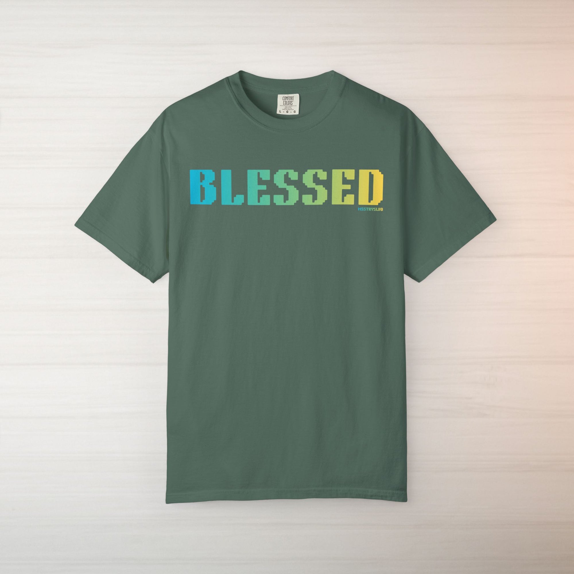 BLESSED Graphic T Shirt Aesthetic Streetwear Tee, Unisex Minimal Typography Shirt, Grateful Pastel Fashion Top
