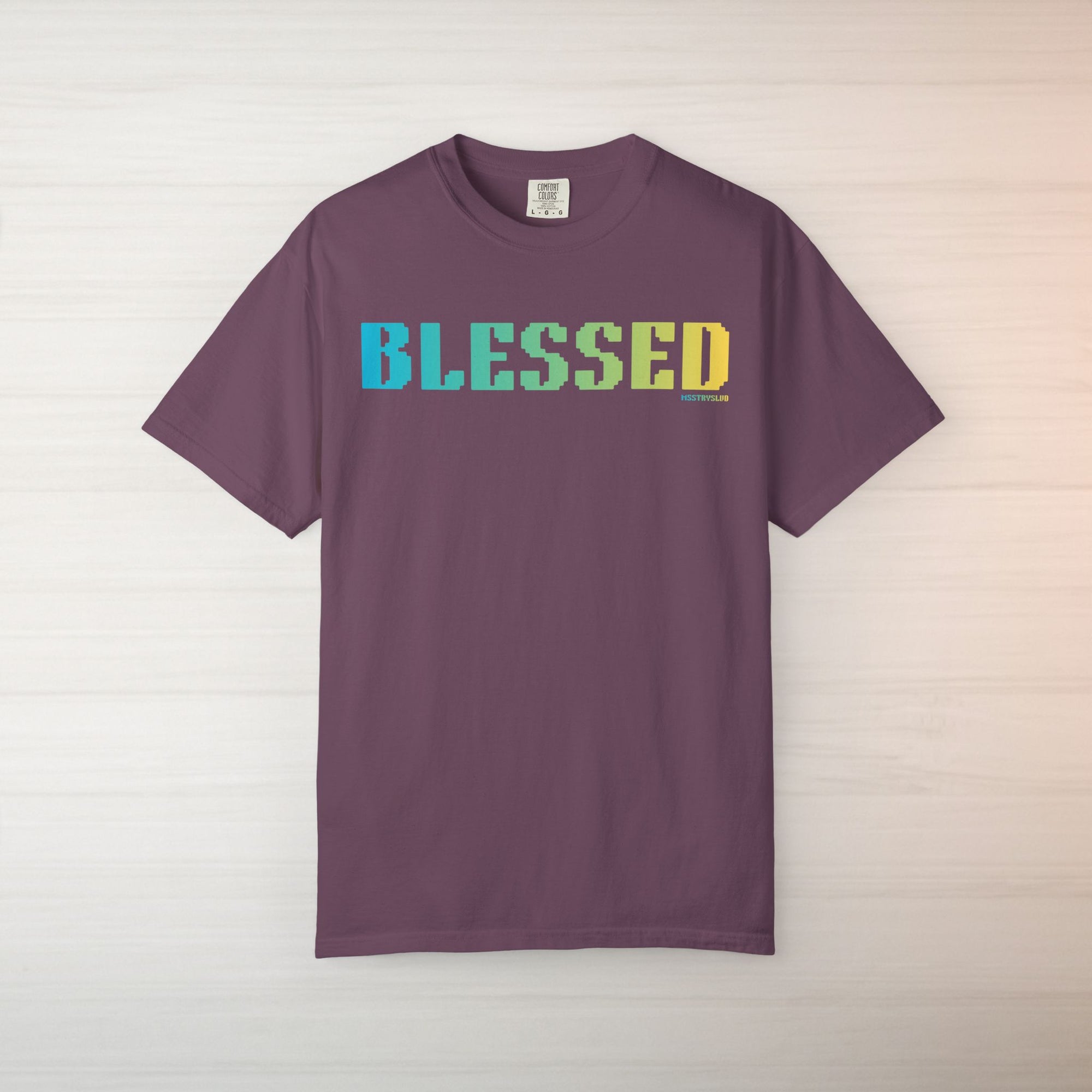 BLESSED Graphic T Shirt Aesthetic Streetwear Tee, Unisex Minimal Typography Shirt, Grateful Pastel Fashion Top