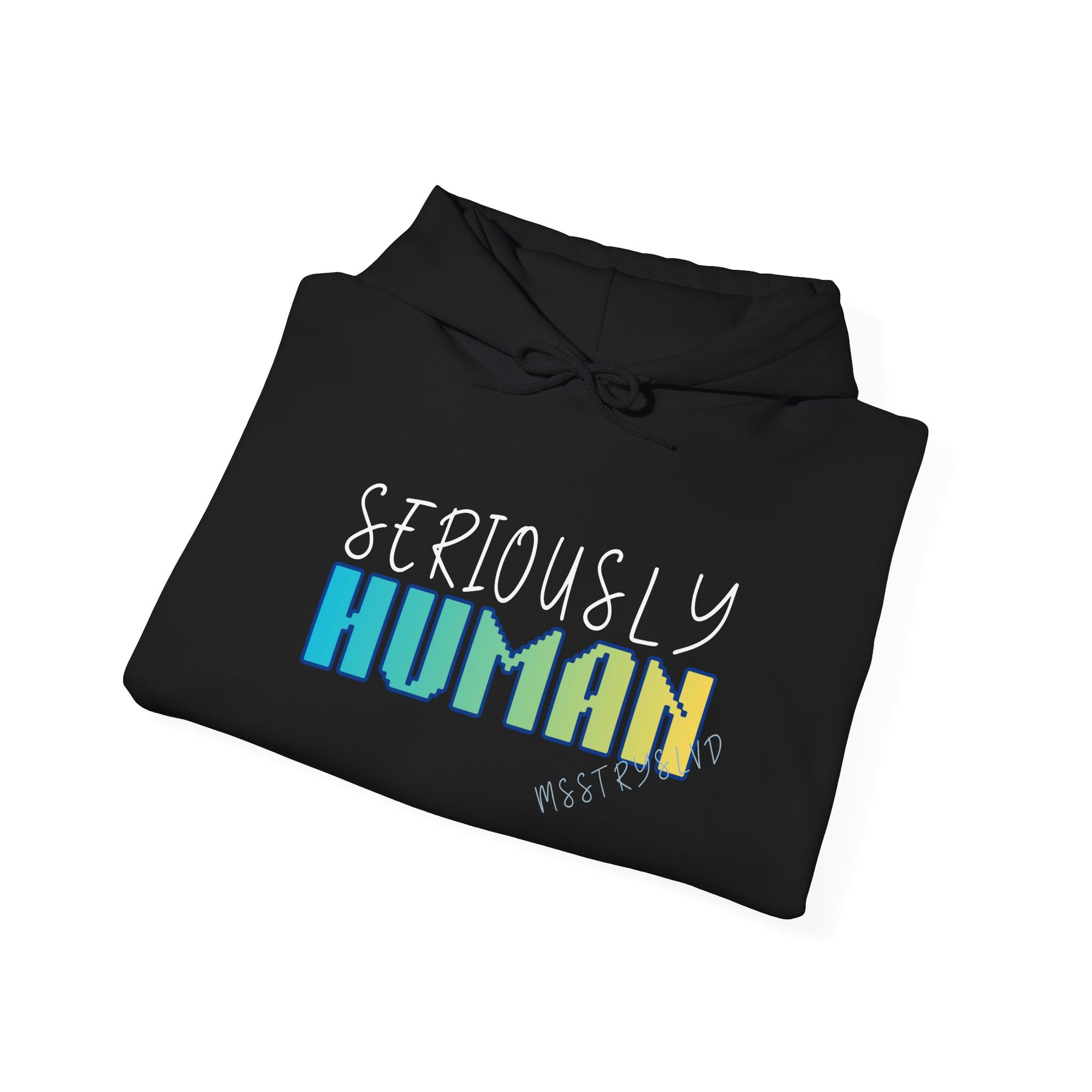 Embroidered 'Seriously Human' Heavy Blend™ Hooded Sweatshirt Quote Retro Pixel