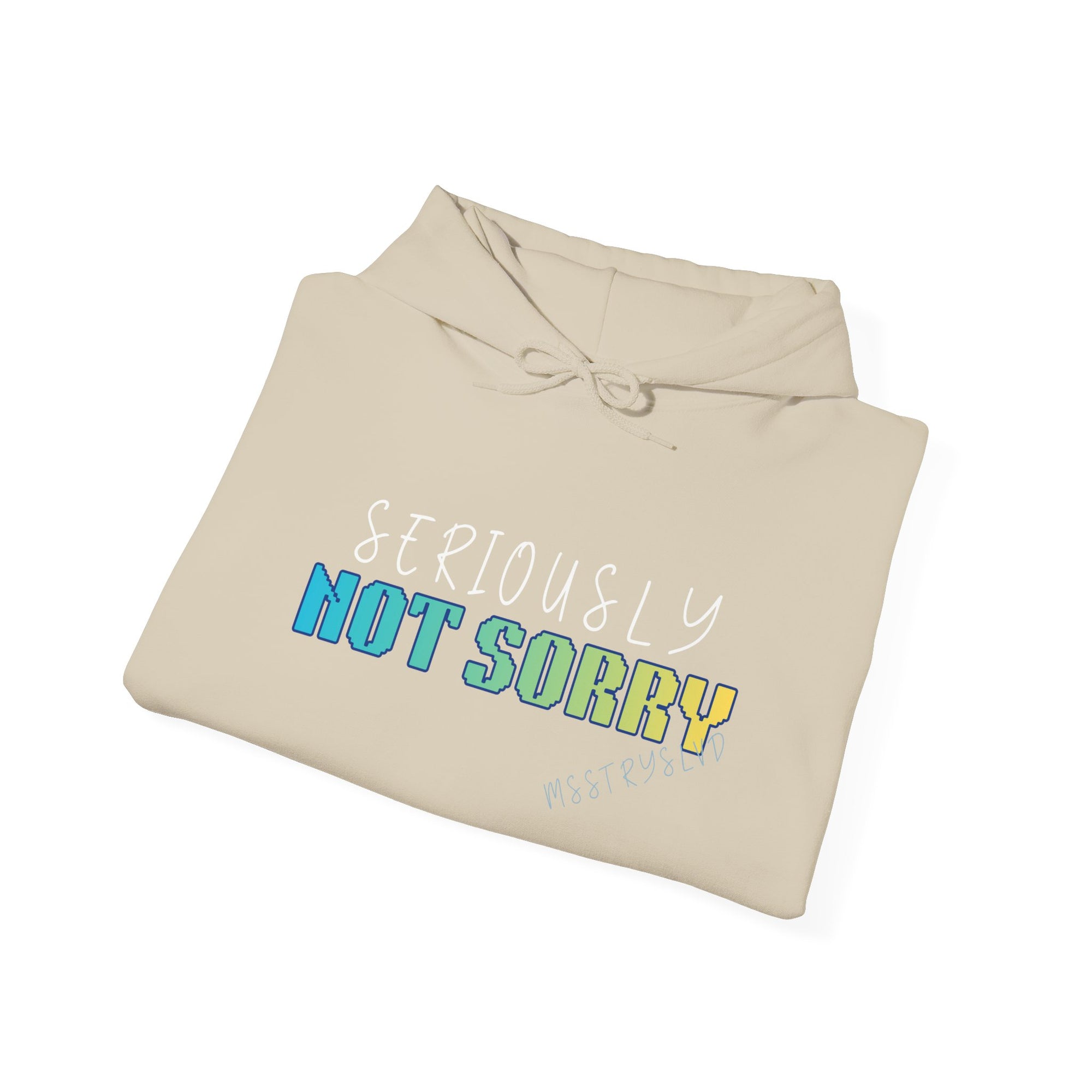 Embroidered 'Seriously Not Sorry' Heavy Blend™ Hooded Sweatshirt Sassy Quote