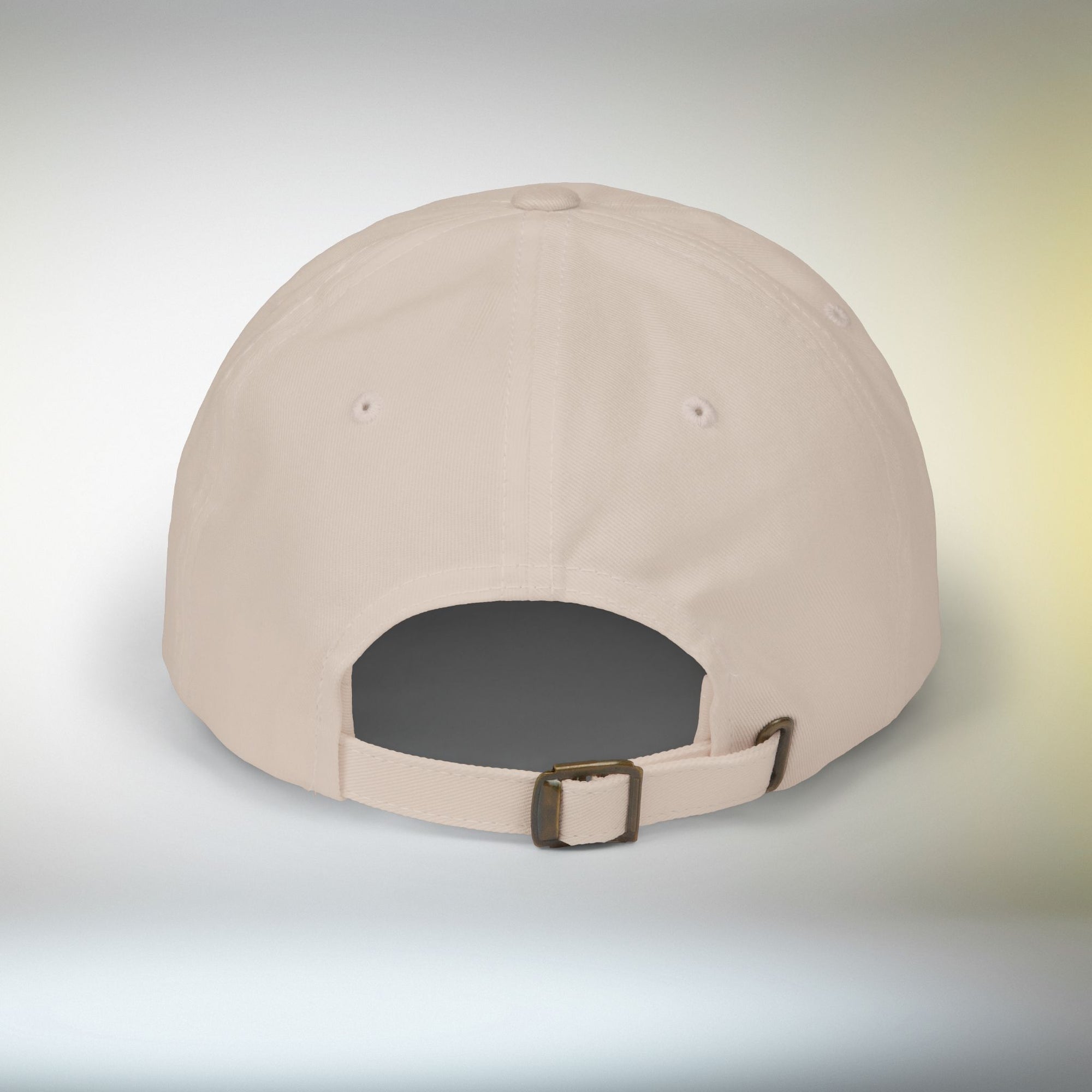 Look Again Embroidered Cap | Minimal Beetle Dad Hat, Premium Unisex Embroidery, Subtle Streetwear Hat